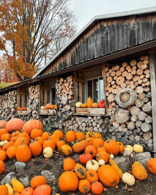 Pond Hill Farm-Harbor Springs