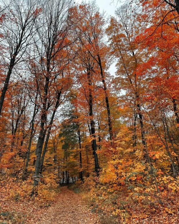 Pond Hill Farm-Harbor Springs