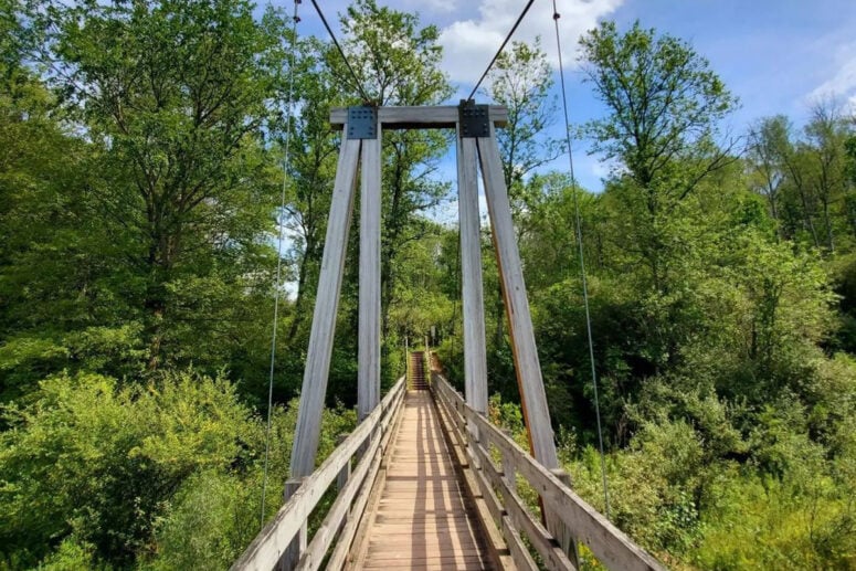 &Quot;Little Mac&Quot; Suspension Bridge Over The Manistee River In Mesick, Mi