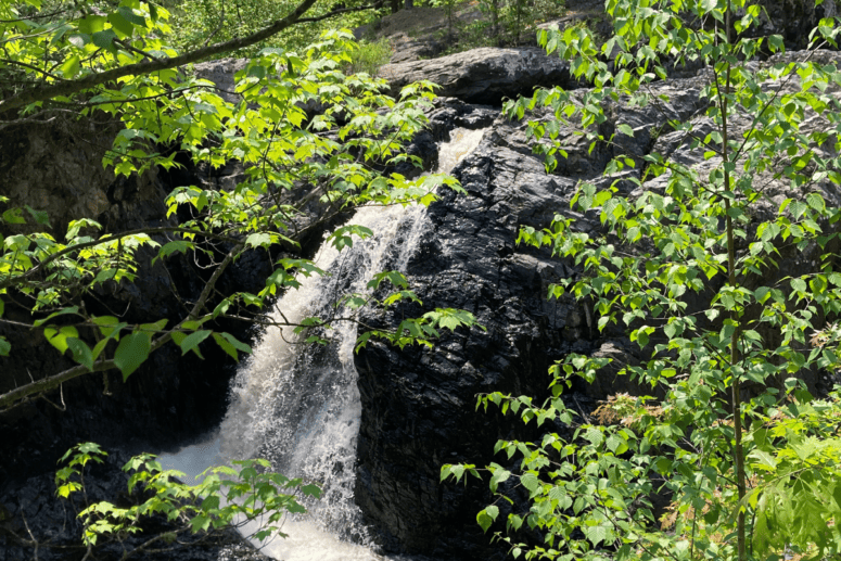 A Waterfall Through Treetops.