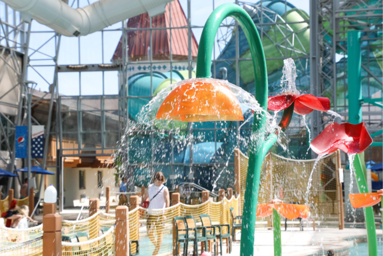 Zehnder's Splash Village