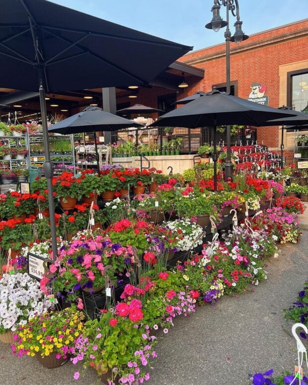 Westborn Market-Plymouth