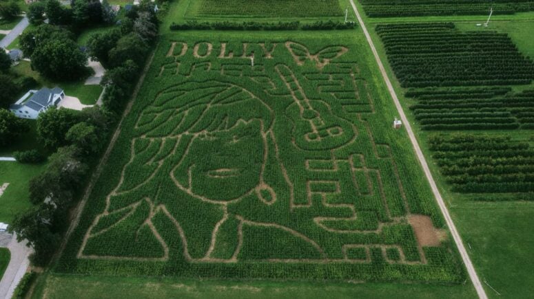 Dolly Parton Themed Corn Maze At Robinette's