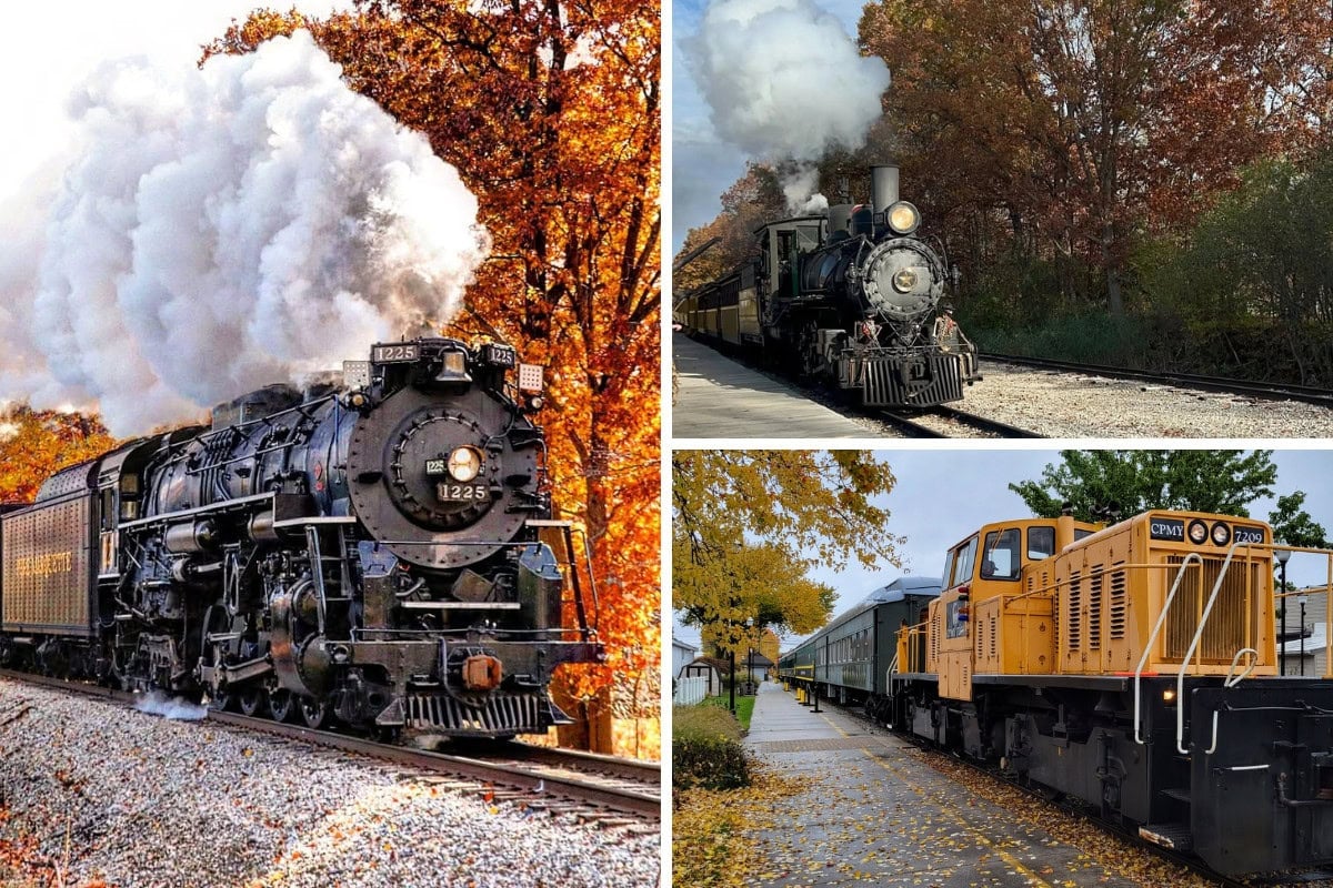 Fall Train