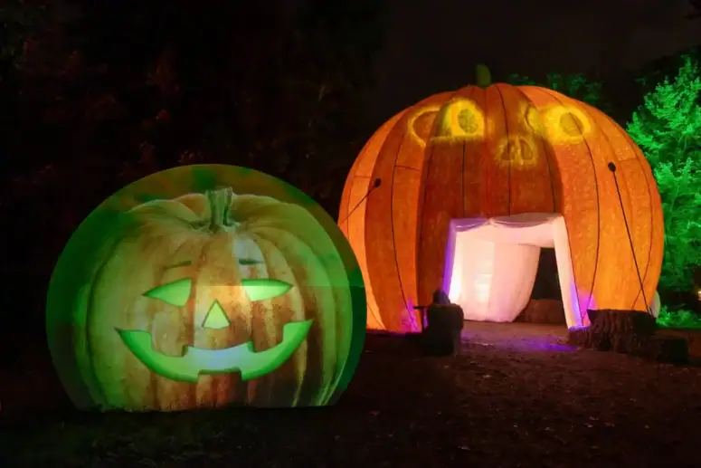 Glenlore Carnevil Pumkins 2 Scaled 1