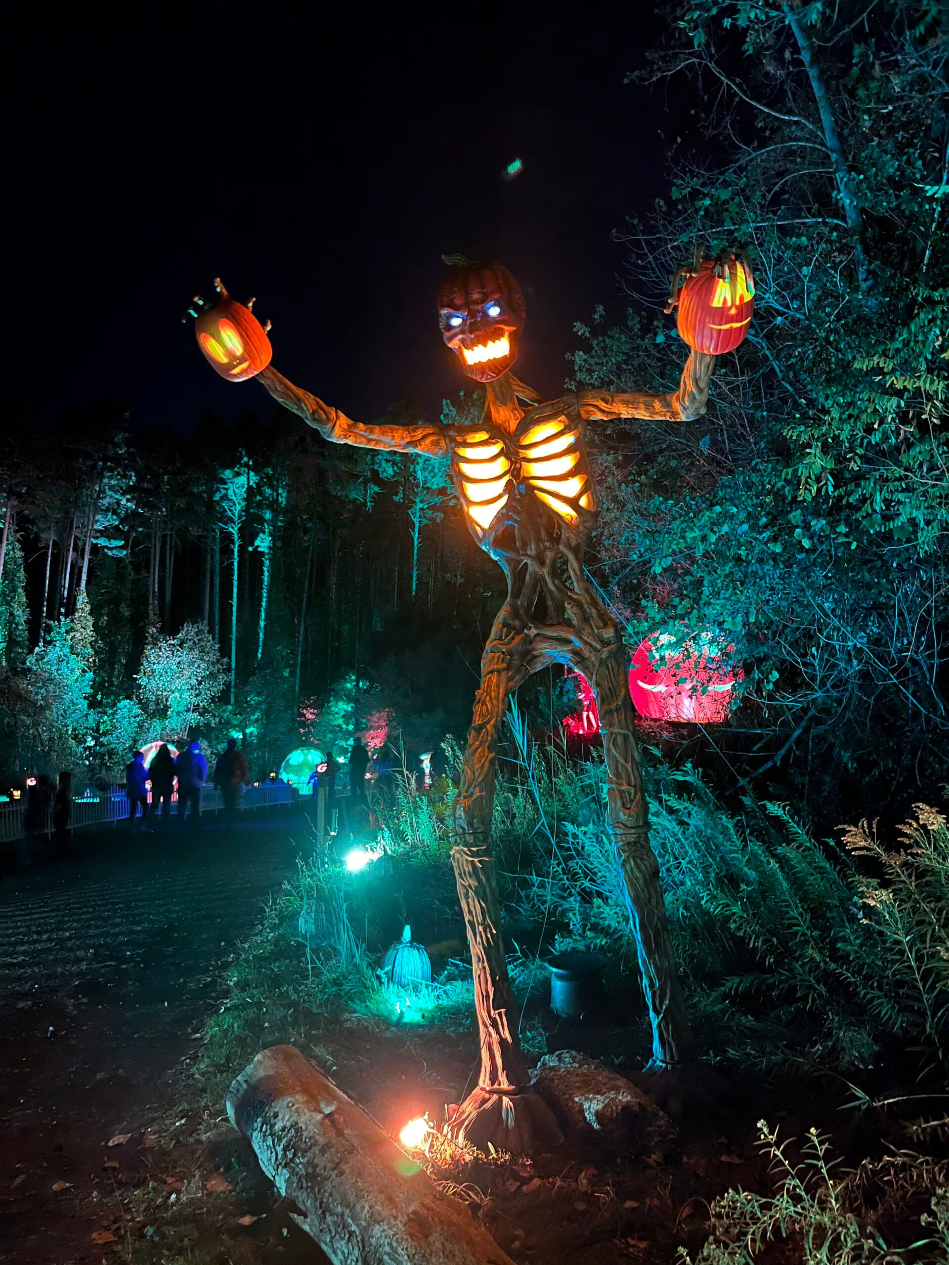 Glenlore Trails: The Witching Hour