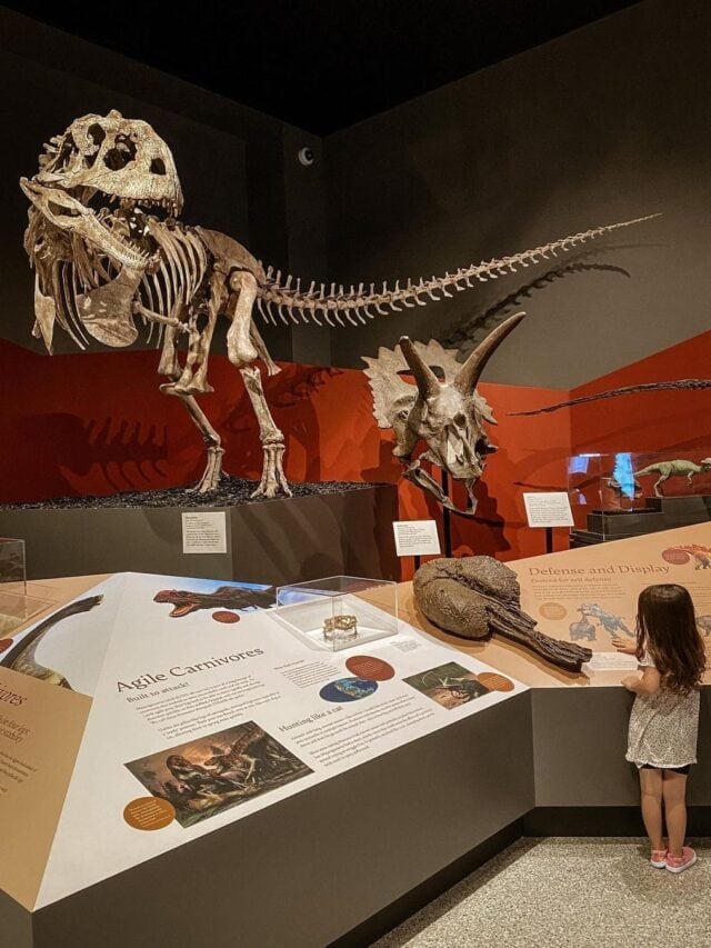 Um Museum Of Natural History-Ann Arbor