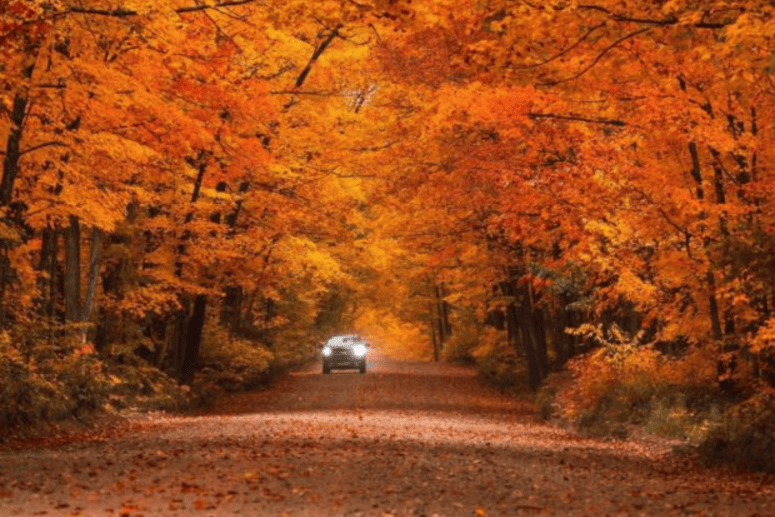 Marquette-Fall-Road Trip