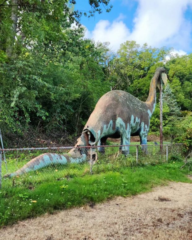 Prehistoric Forest Amusement Park
