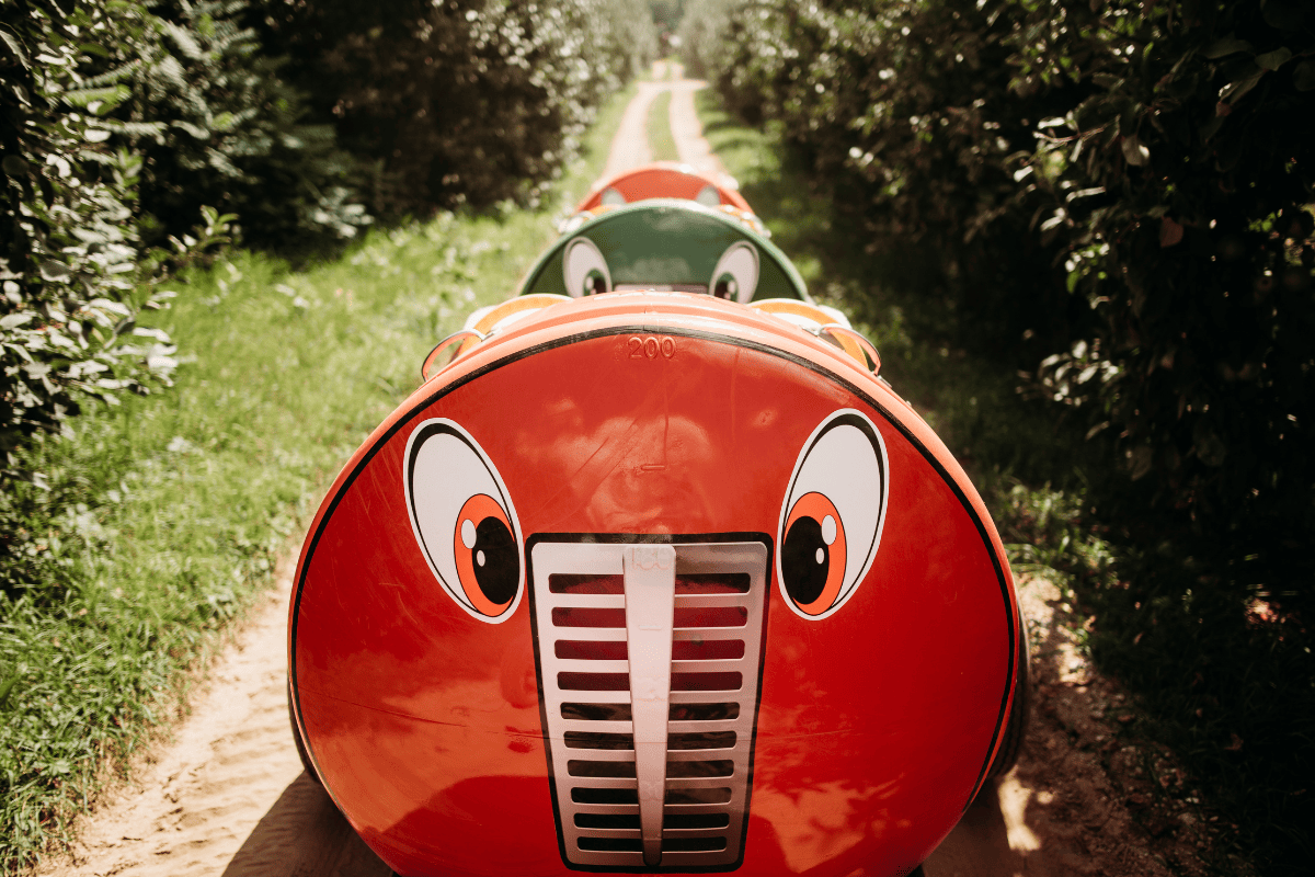 Fun for the Whole Family: Lewis Adventure Farm and Zoo