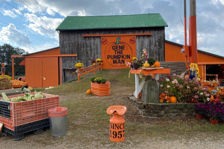Gene The Pumpkin Man Historic Barn.