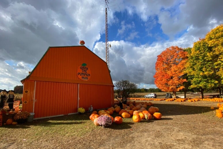 Gene The Pumpkin Man Blue Skies Barn Fall Colors.