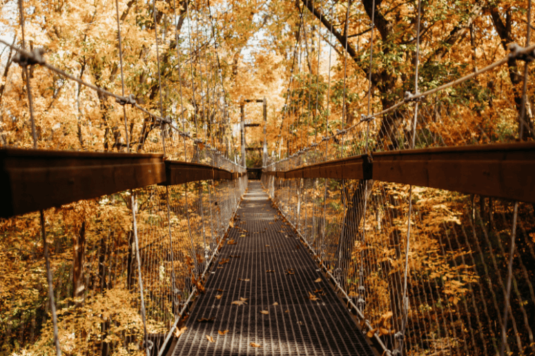 Hidden Lakes Gardens Canopy Walk