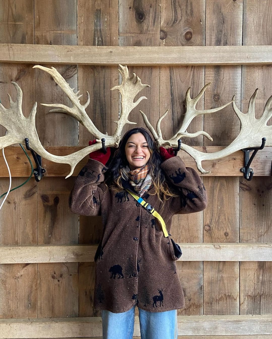 Reed Ranches Mi 4 Reindeer Farms in Michigan to Visit This Winter