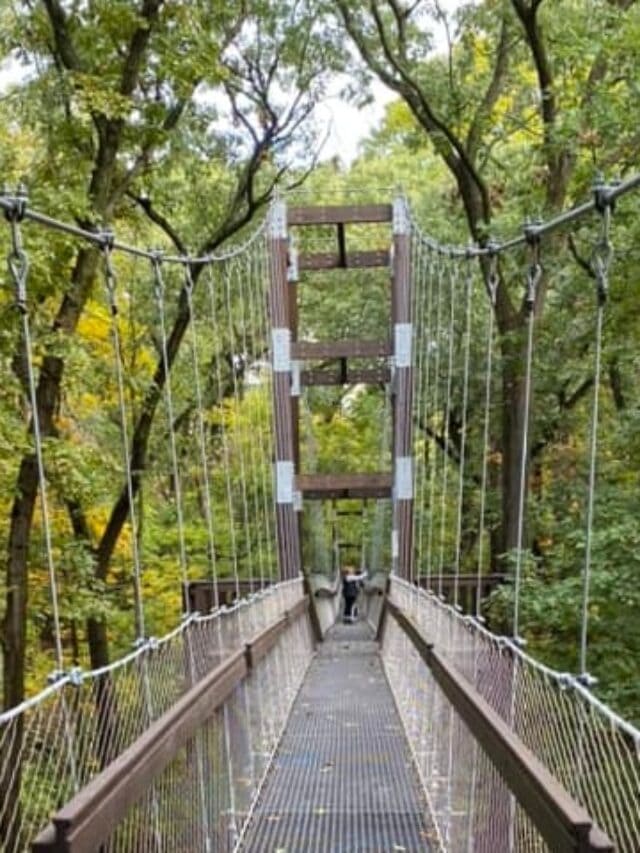 Hidden Lake Gardens - Cropped