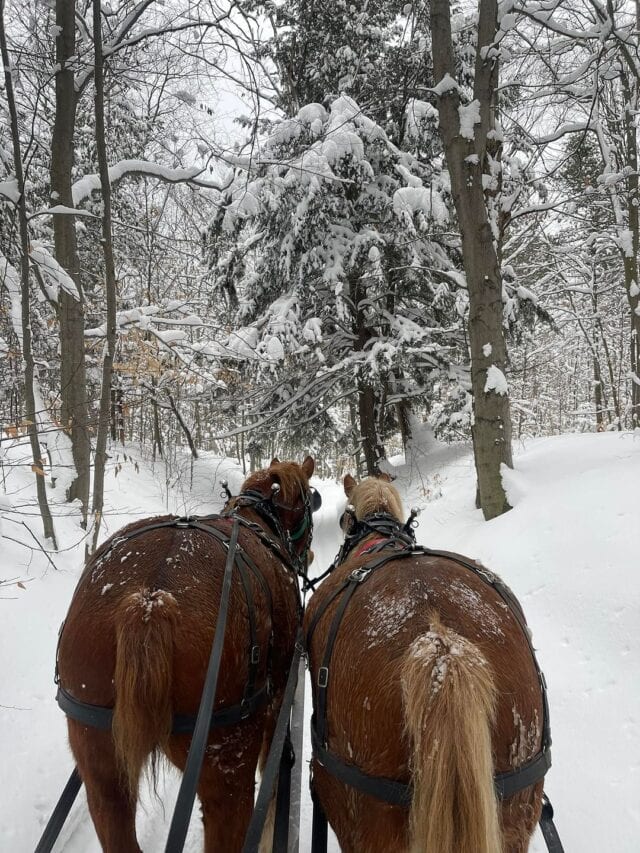 18 Fun Sleigh Rides in Michigan to Experience This Winter
