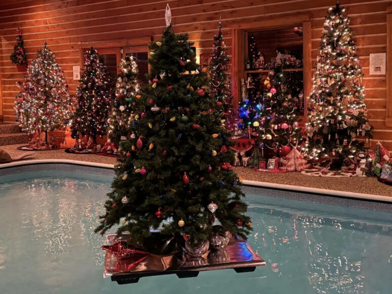 Christmas Tree Walk-Algonac