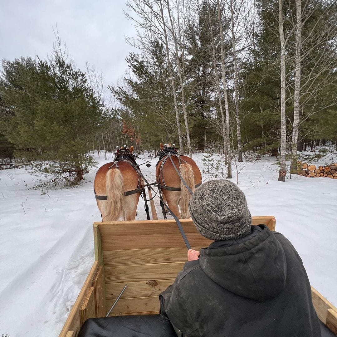 18 Fun Sleigh Rides in Michigan to Experience This Winter
