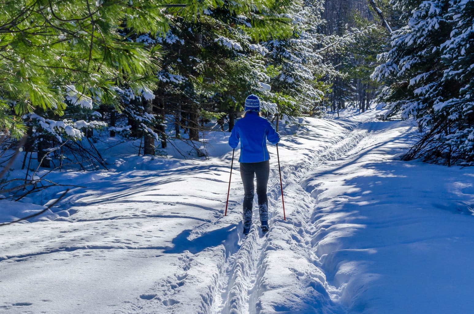 Cross Country Ski