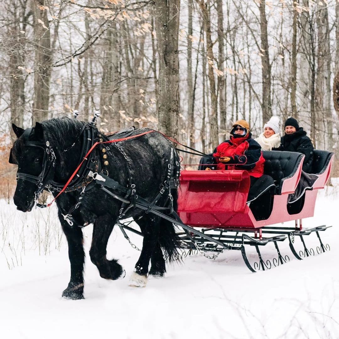 19 Fun Sleigh Rides in Michigan to Experience This Winter