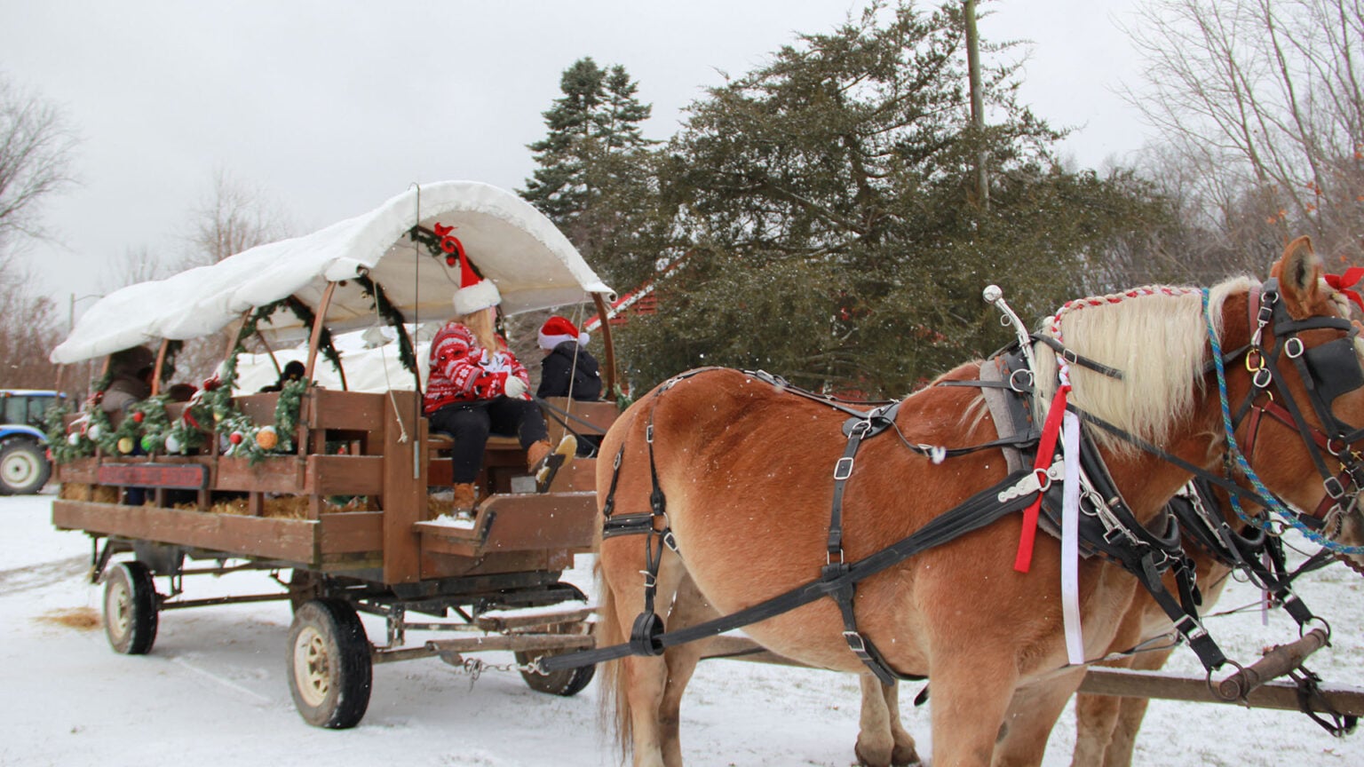 18 Fun Sleigh Rides in Michigan to Experience This Winter