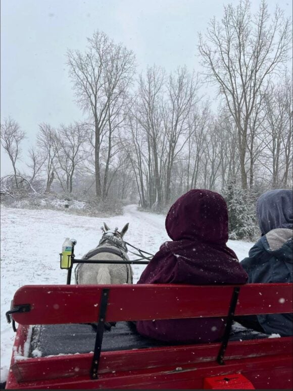 Loveberry's Tree Farm