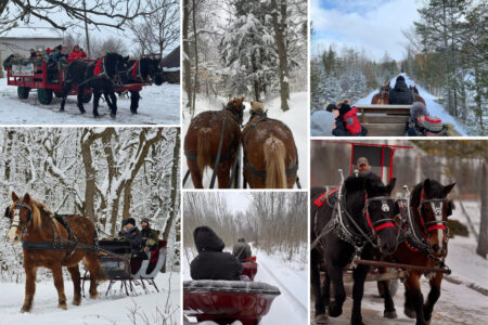Sleigh Rides