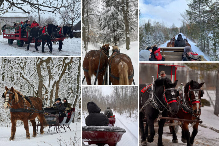 Sleigh Rides
