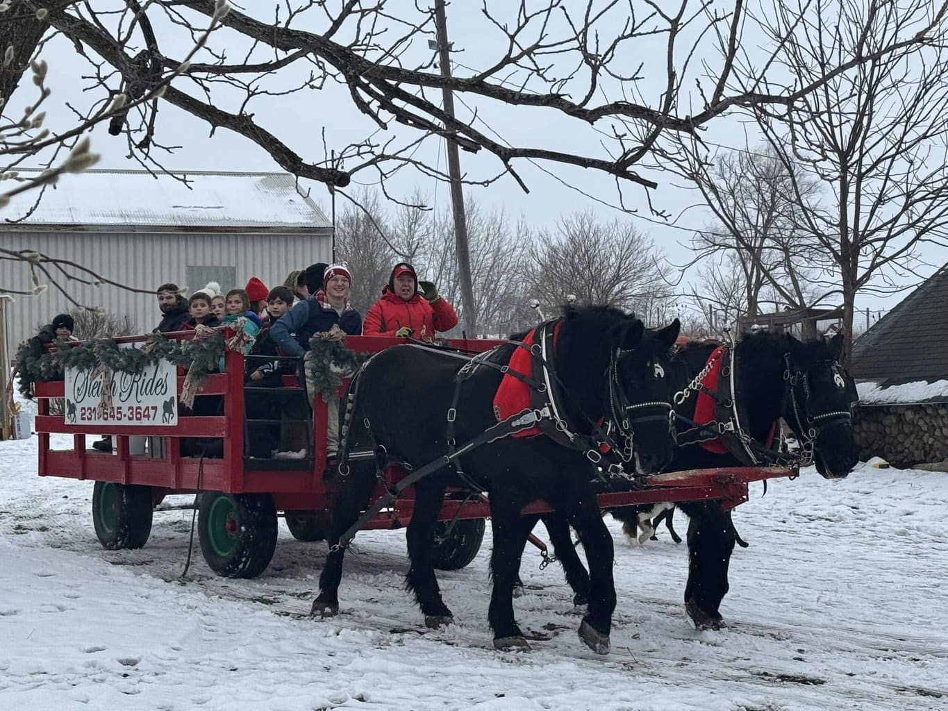 18 Fun Sleigh Rides in Michigan to Experience This Winter