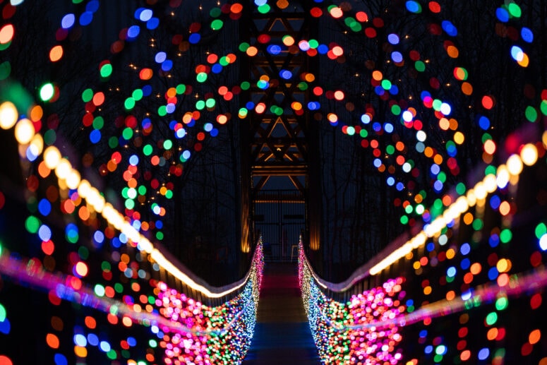 Boyne Mountain Skybridge Michigan