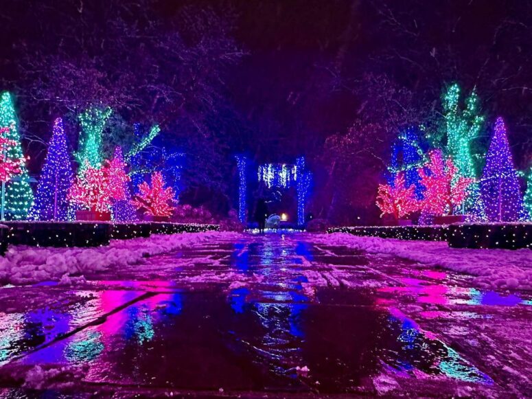 Meadow Brook Hall-Rochester