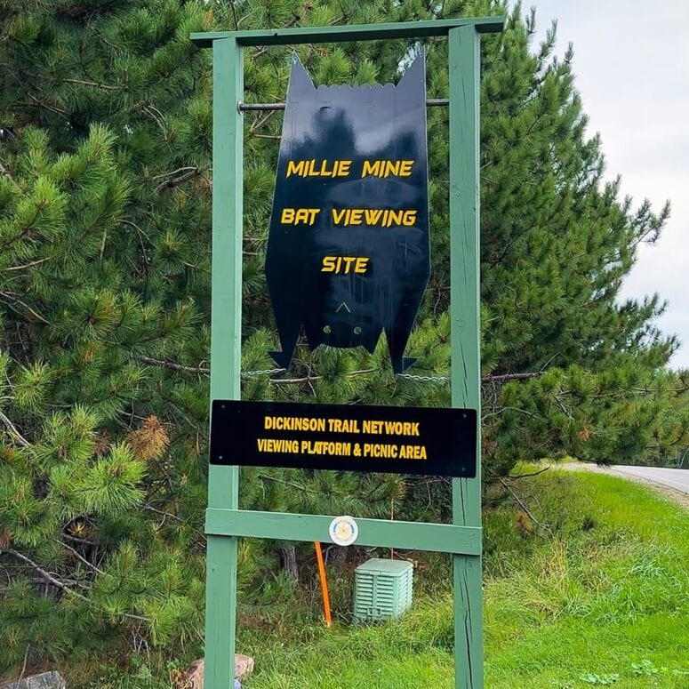 Millie Mine Bat Cave Sign - Iron Mountain Michigan