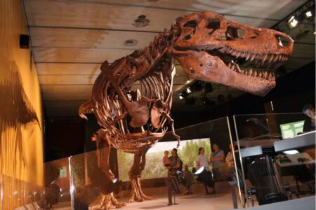 13 Awe-Inspiring Dinosaur Museums & Attractions In Michigan