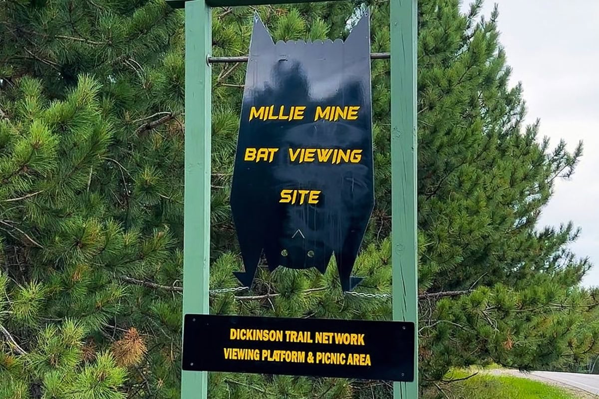 Mille Mine Bat Cave