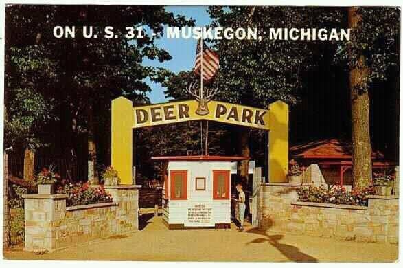 Deer Park Funland Postcard From The 1960S, Muskegon