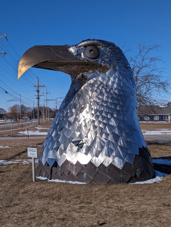 Big Bald Eagle Head-Alpena-3