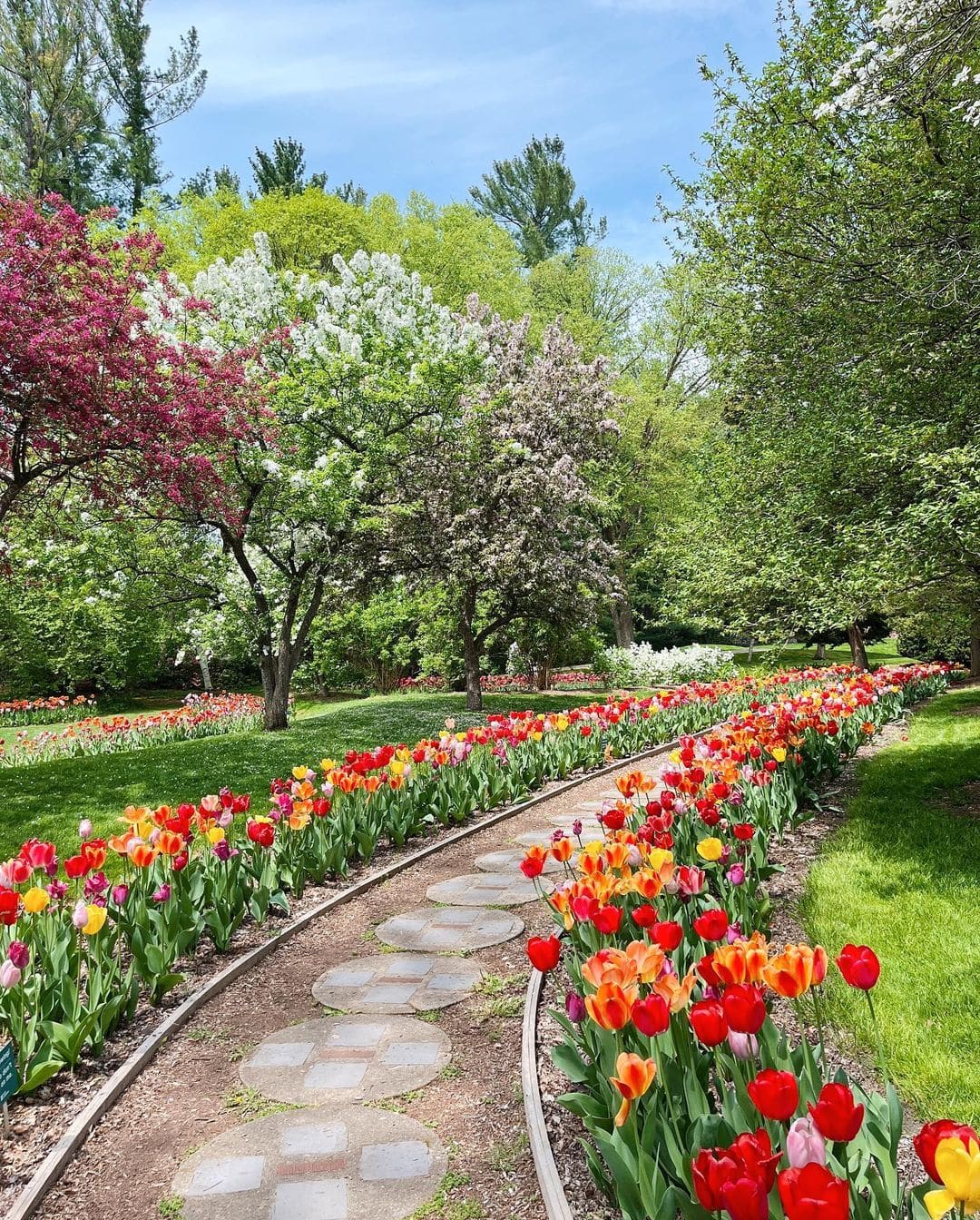 21 Must-Take Michigan Day Trips in April 2026