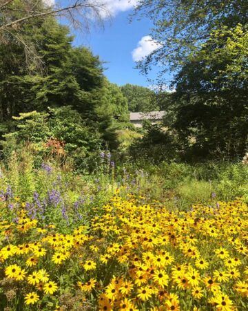 Discover 9 Secret (& Not-So-Secret) Gardens in Michigan