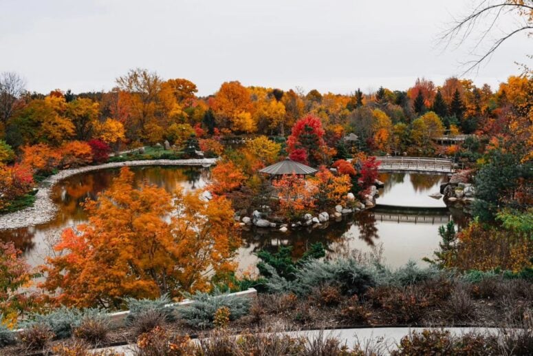 Frederik Meijer Gardens &Amp; Sculpture Park-Grand Rapids-Mads_Elisey
