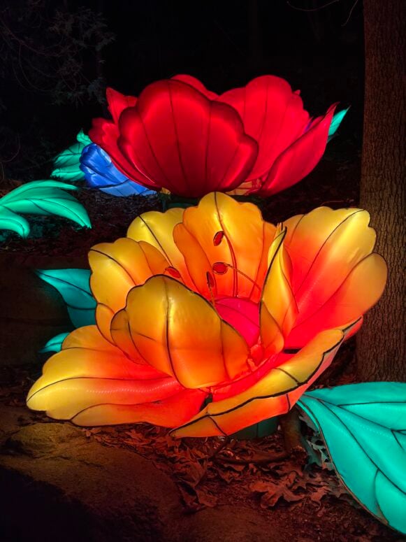 Lantern Festival 2026