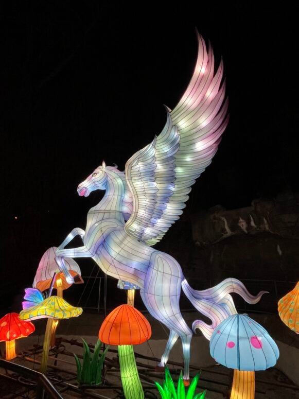 Lantern Festival 2026