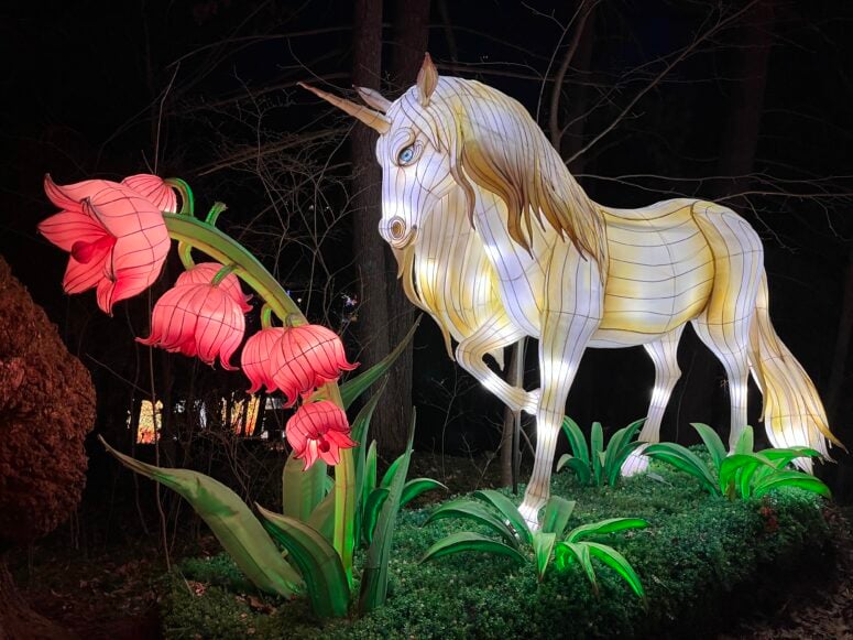 Lantern Festival 2026