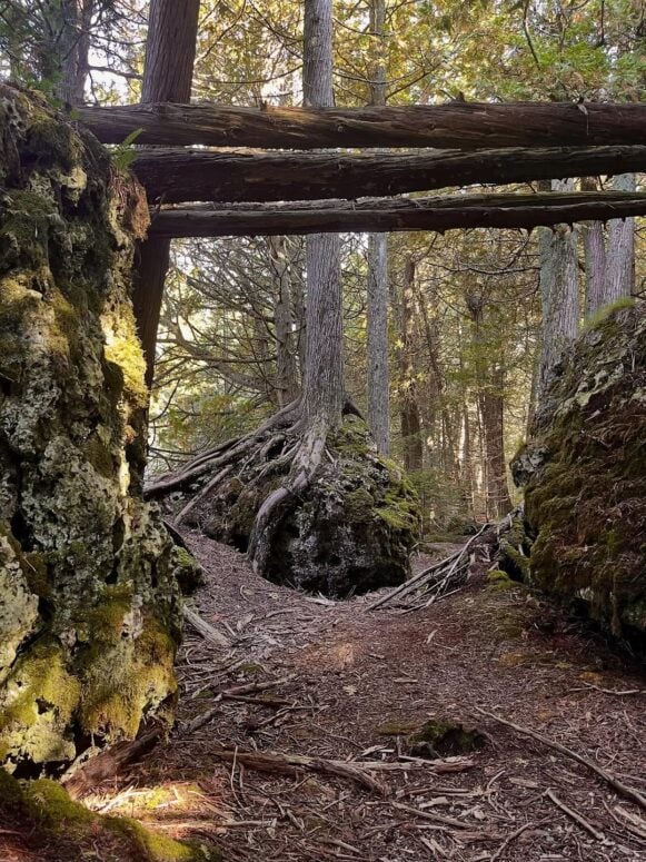 Narnia Trail - Ceadrville