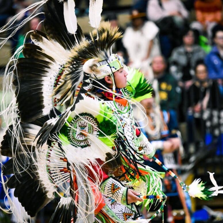 Dance For Mother Earth Powwow-Ann Arbor