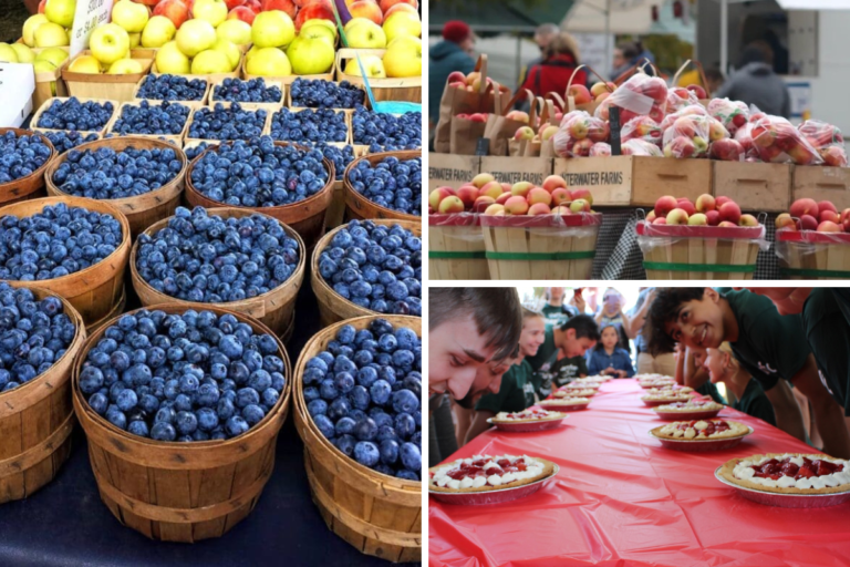 Fruit Festivals