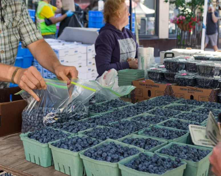Blueberry Festival Marquette