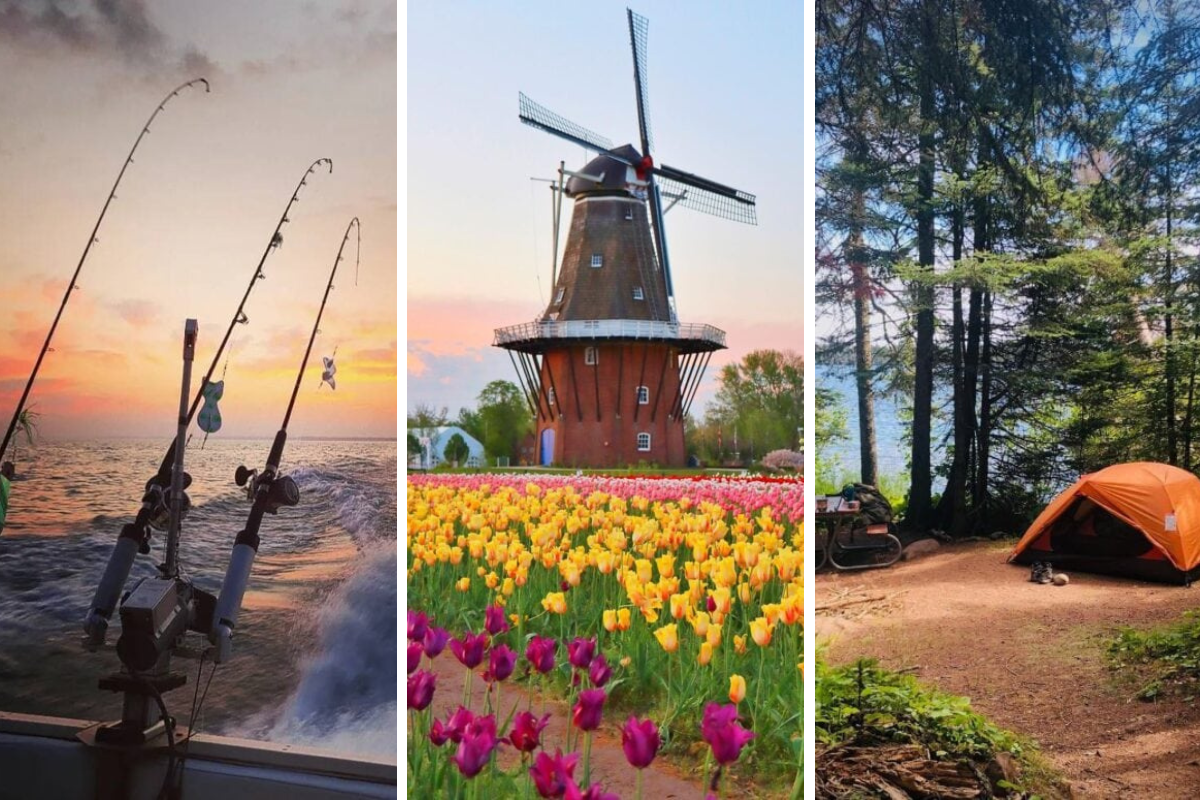 May Day Trips