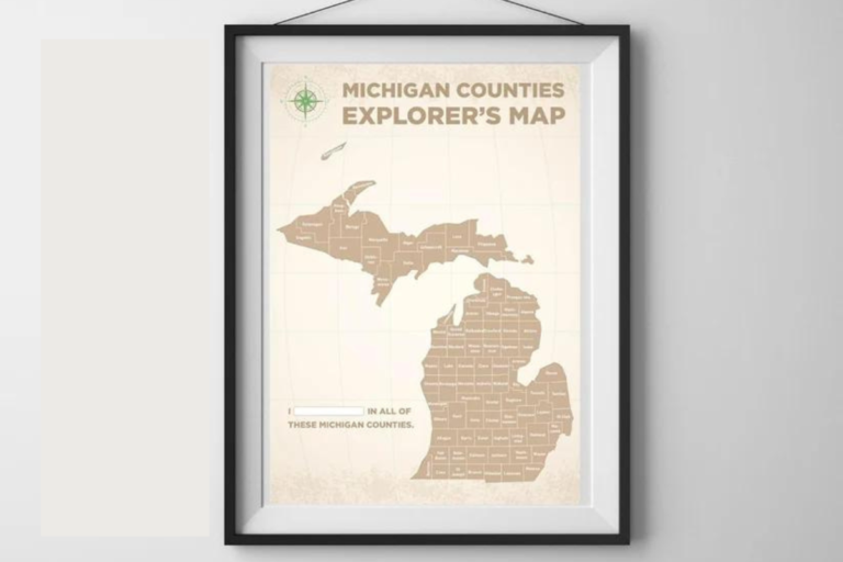 Michigan Counties Explorer map