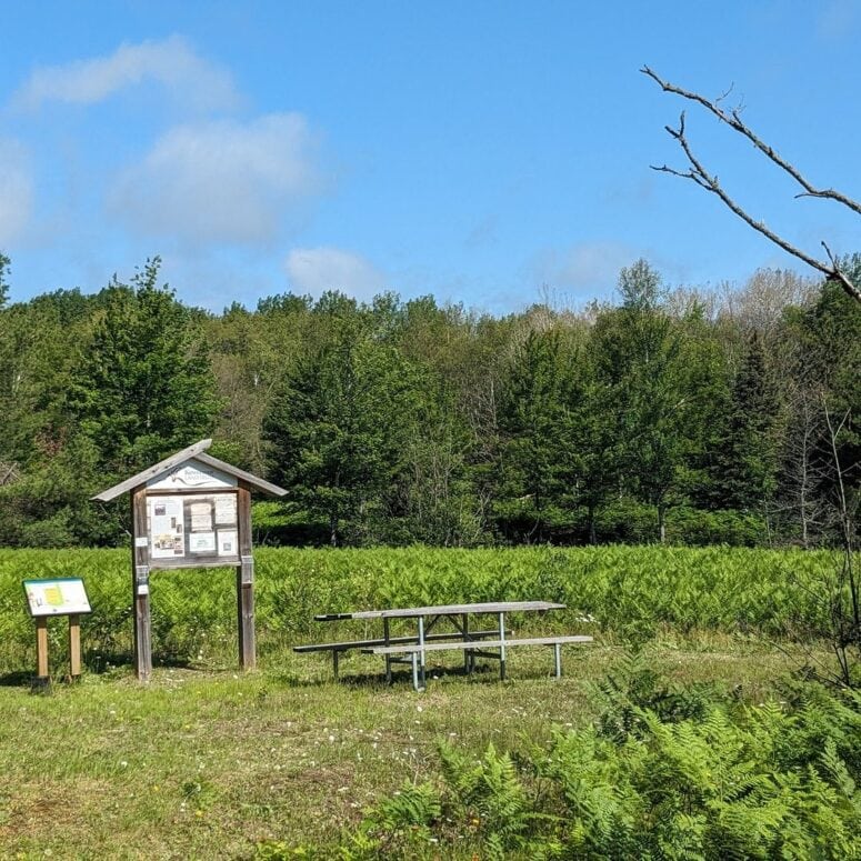 Steve Farm Nature Area-Dollar Bay