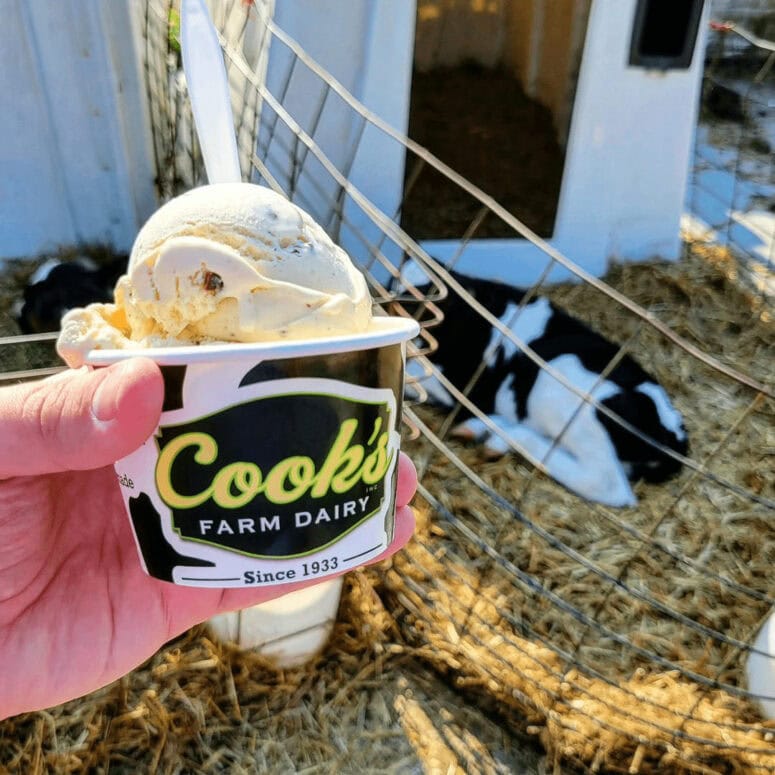 Cooks Farm Dairy Ice Cream In Ortonville Michigan